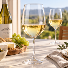 Copa de Vino de Vidrio 500 ml 23x9 cm - Di Vino