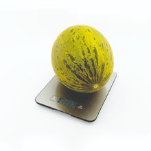 Balanza de Cocina Electrónica Digital Inoxidable 15 kg - Jata