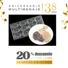 Molde Chocolate Policarbonato Conejo - Multimenaje - Aniversario 38 años
